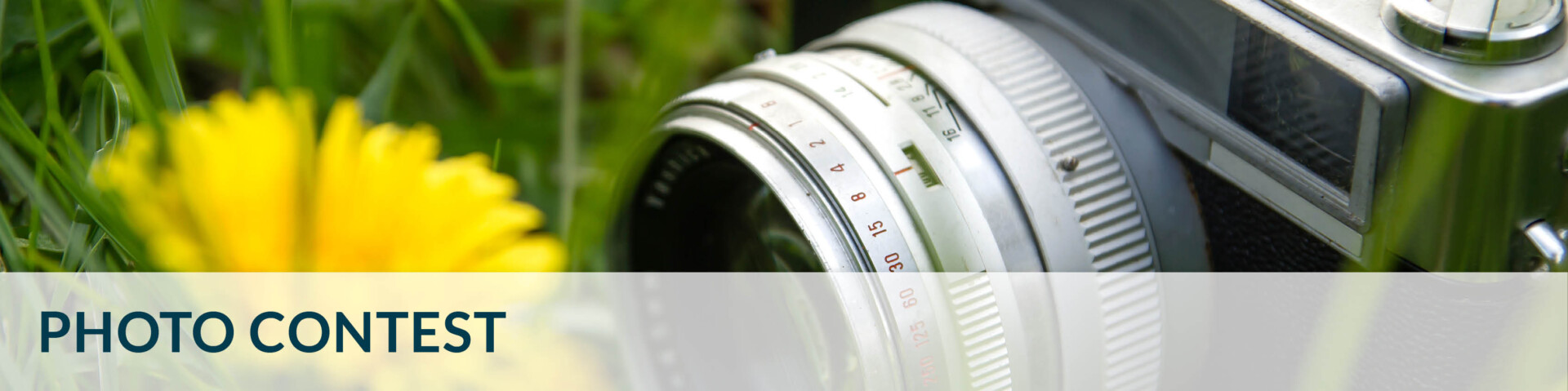 BANNER_LONG_photo_contest BANNER_LONG_photo_contest