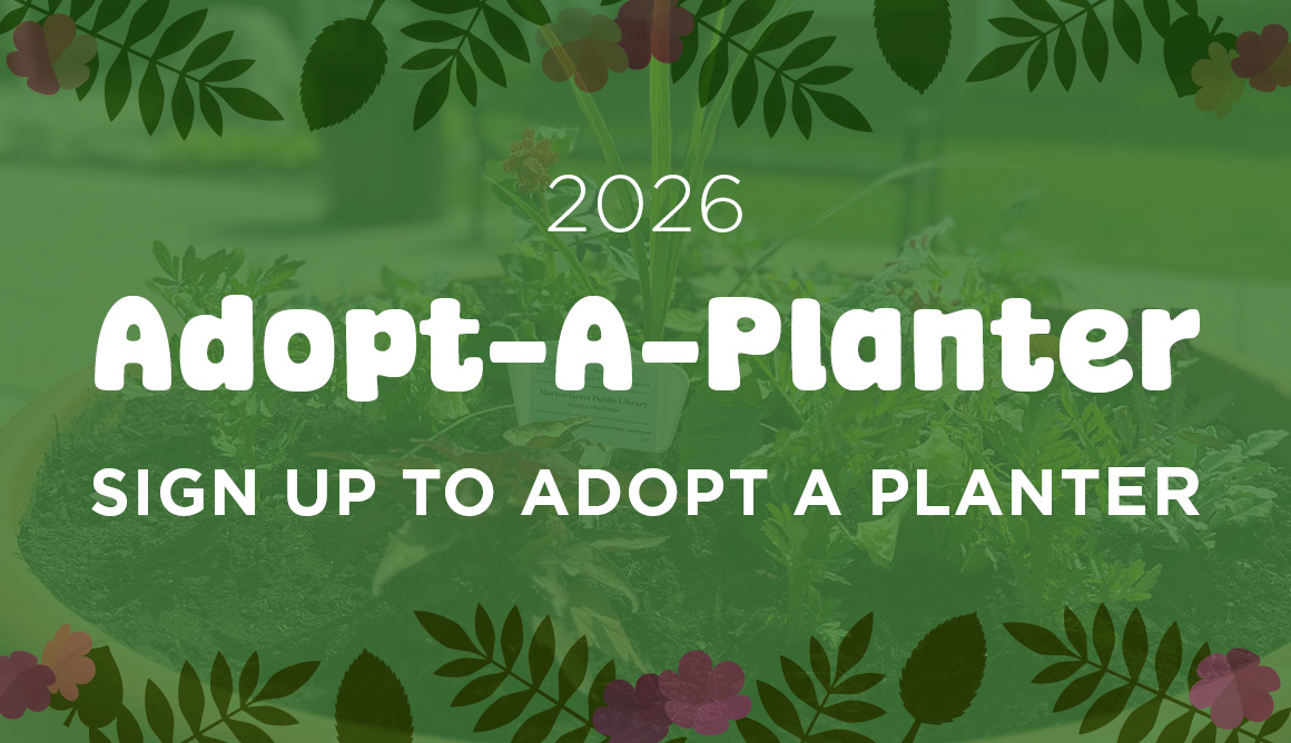 adopt a planter