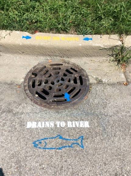 Storm Drain Cover for Runoff Control